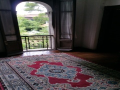 ea_CAMERA1